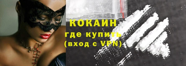 мдпв Новозыбков