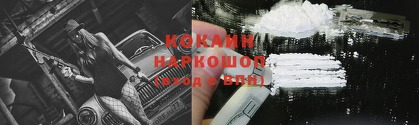мдпв Новозыбков