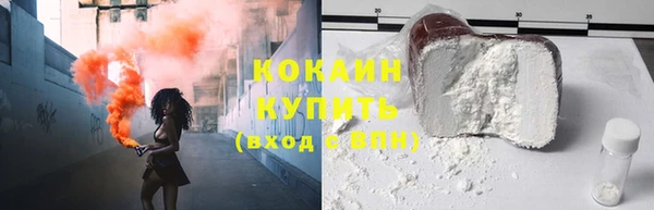мдпв Новозыбков