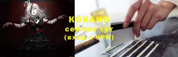 мдпв Новозыбков