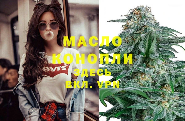 мдпв Новозыбков