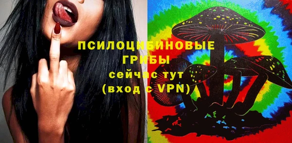мдпв Новодвинск