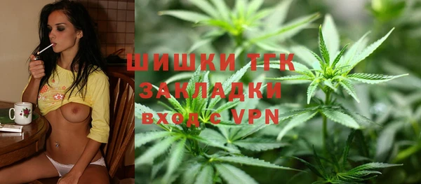 мдпв Новозыбков