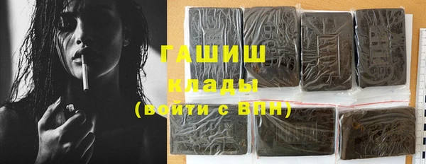 мдпв Новозыбков