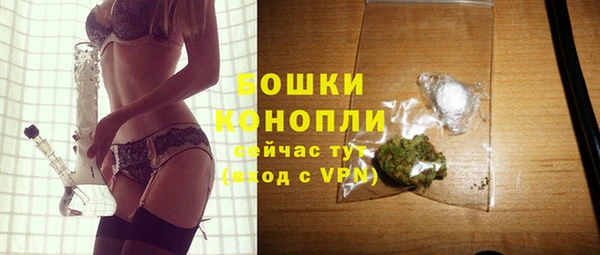 мдпв Новозыбков